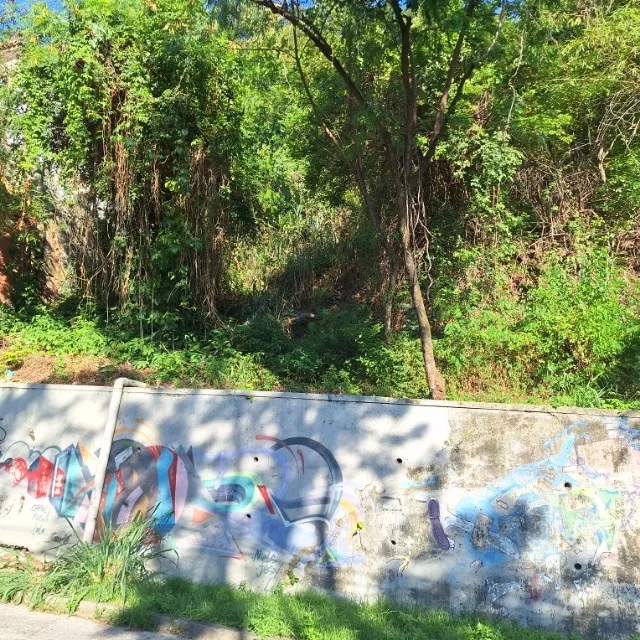 Terreno em Santa Teresa 537,5m2