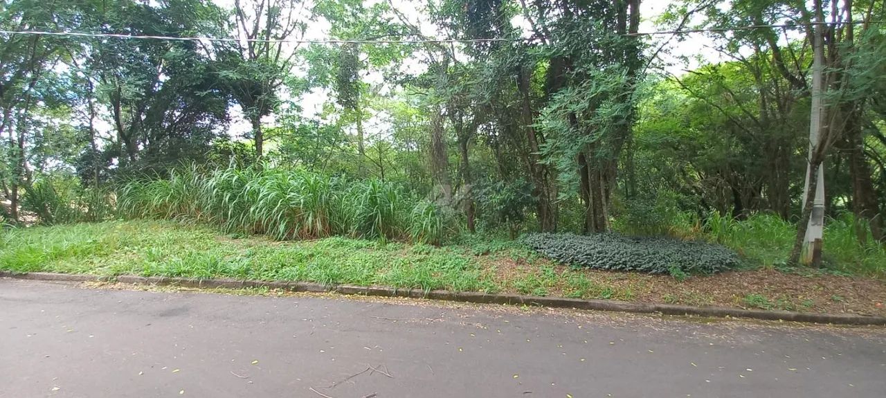 terreno - Joaquim Egídio - Campinas - Foto 2