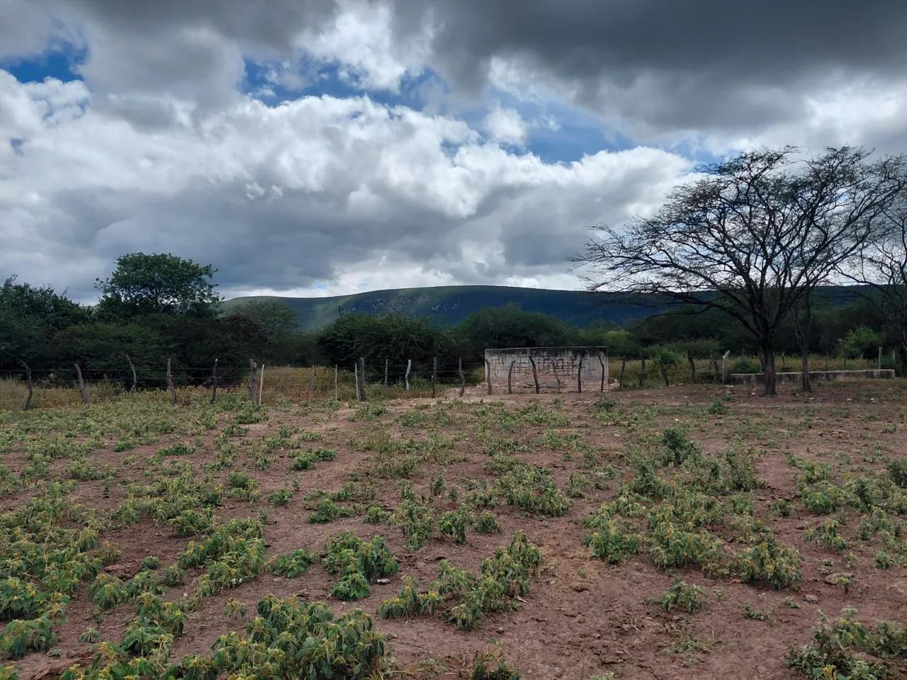 Fazenda em Ourolandia - Foto 4