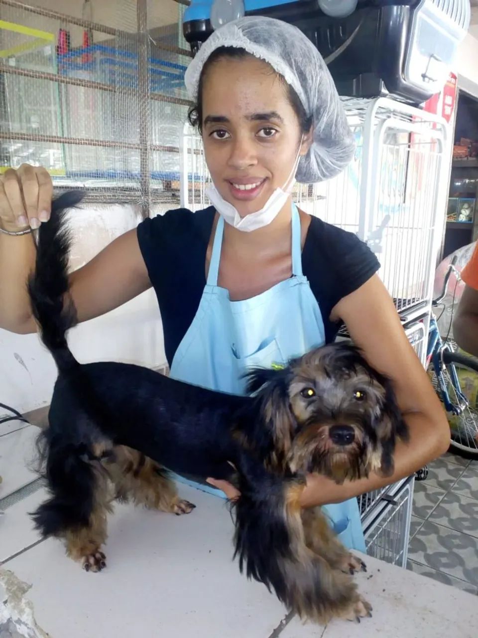 Banho e tosa a domicílio  - Foto 3