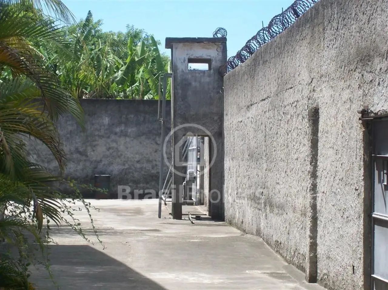 Galpão - Jardim Gramacho - Foto 3