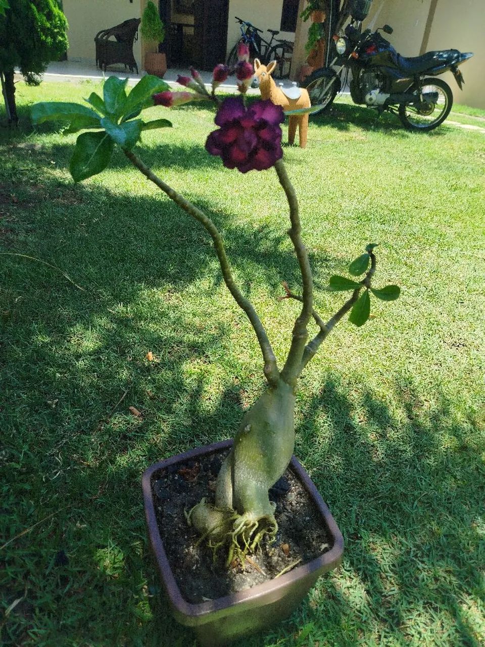 Vendo  - Foto 5