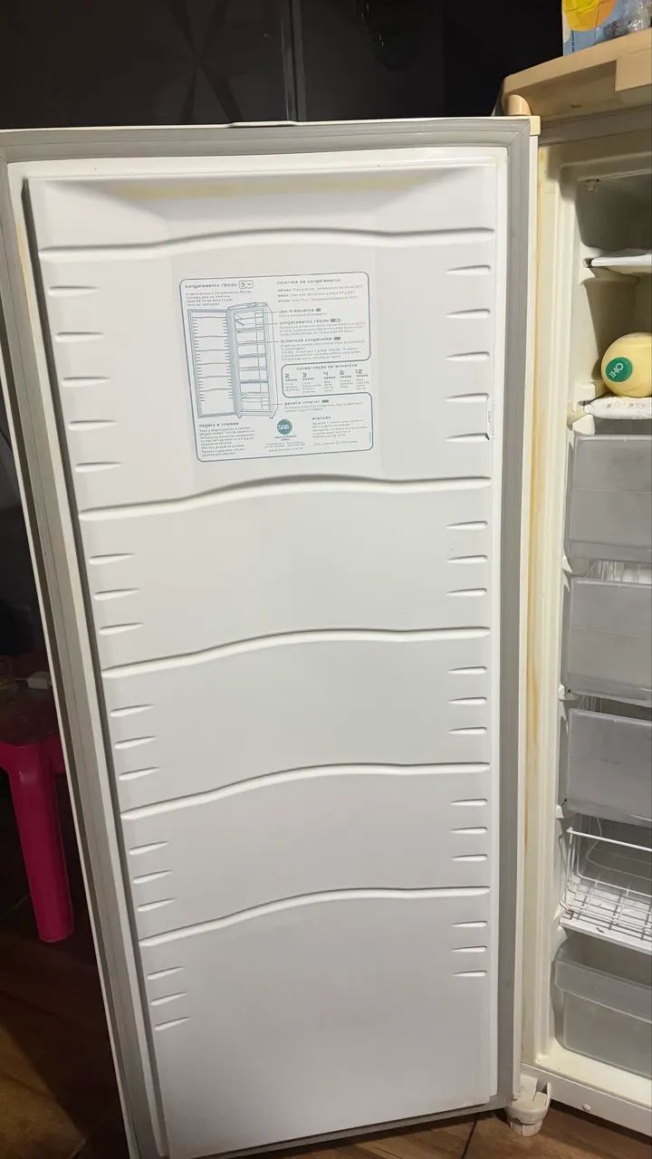 Freezer vertical 260L