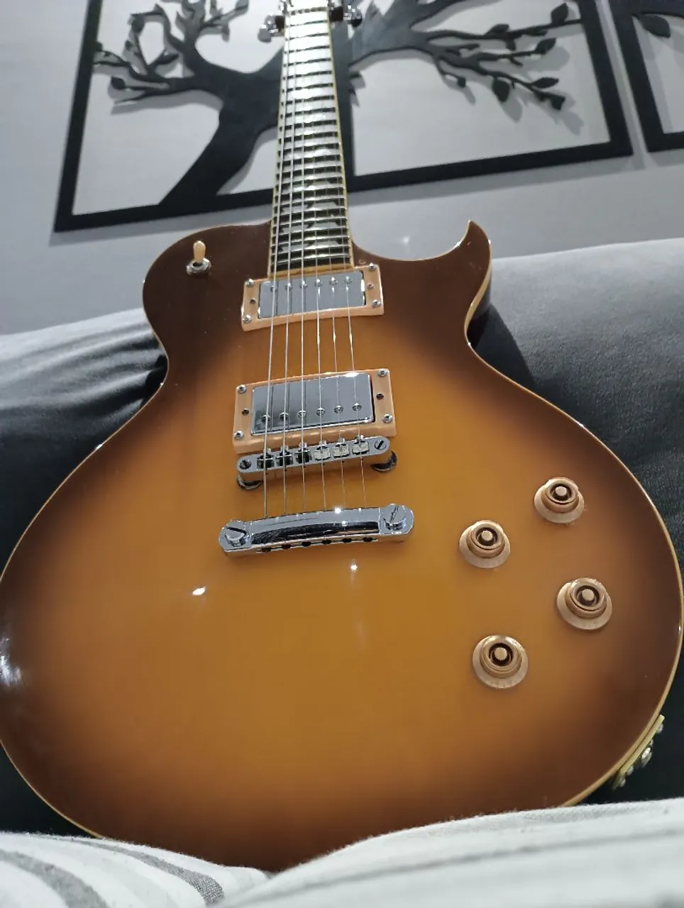 guitarra sx standard