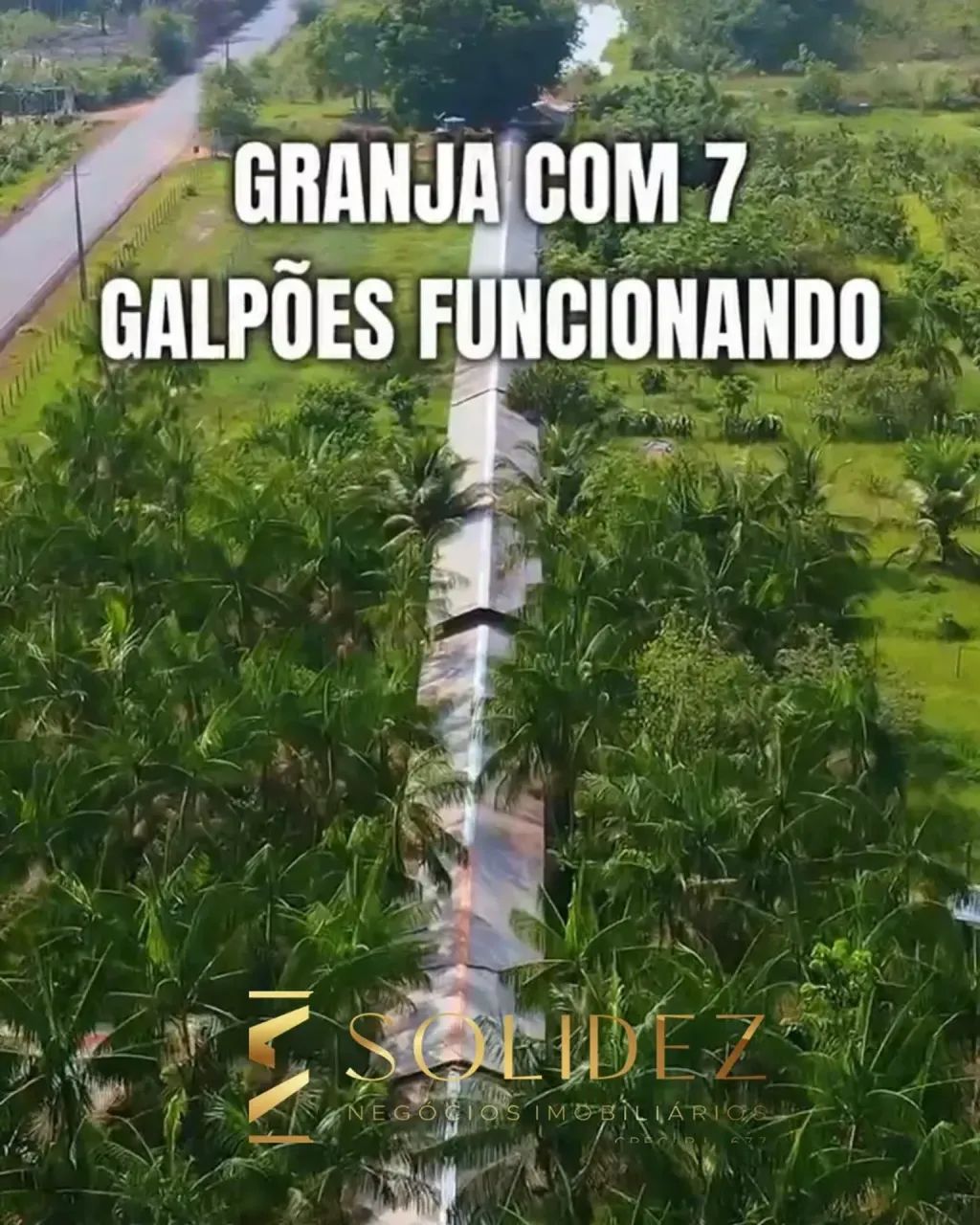 LINDO SÍTIO ENORME Á VENDA COM GRANJA FUNCIONANDO E CASA MOBILIADA - Foto 4
