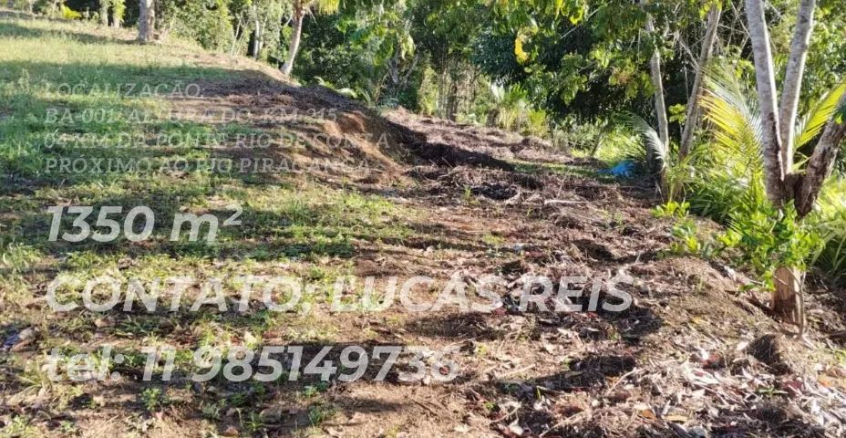 Terreno de 1.350m2 - Foto 4