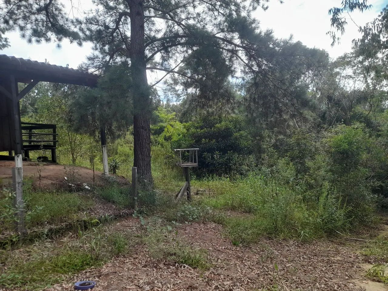 Chácara em Quitandinha  - Foto 5