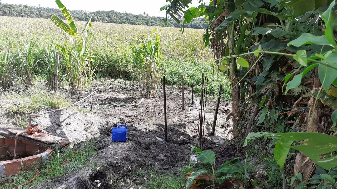 Terreno em Arembepe - Foto 2