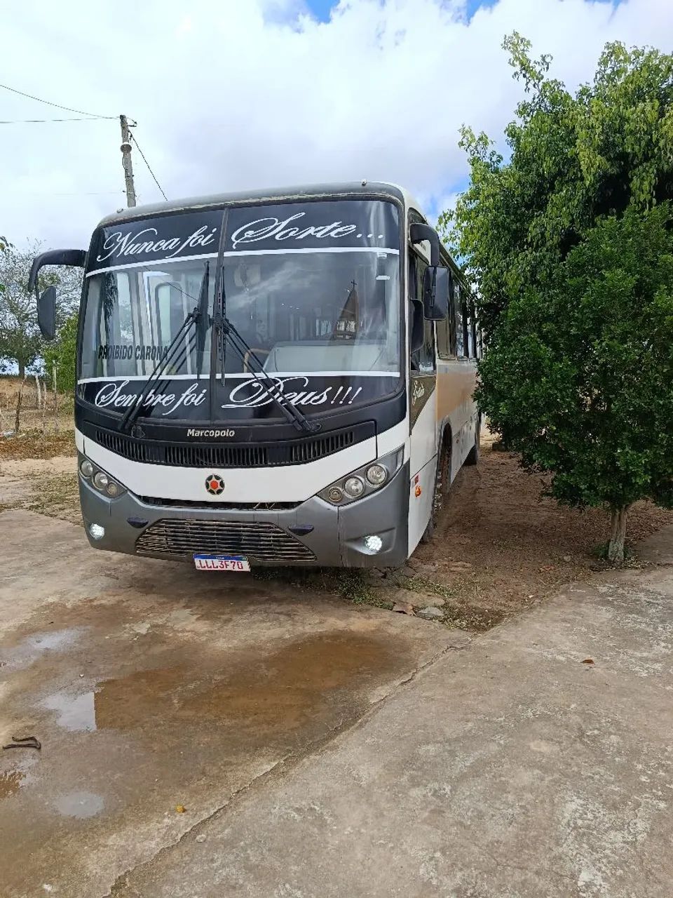 Ônibus sênior midi - Foto 2