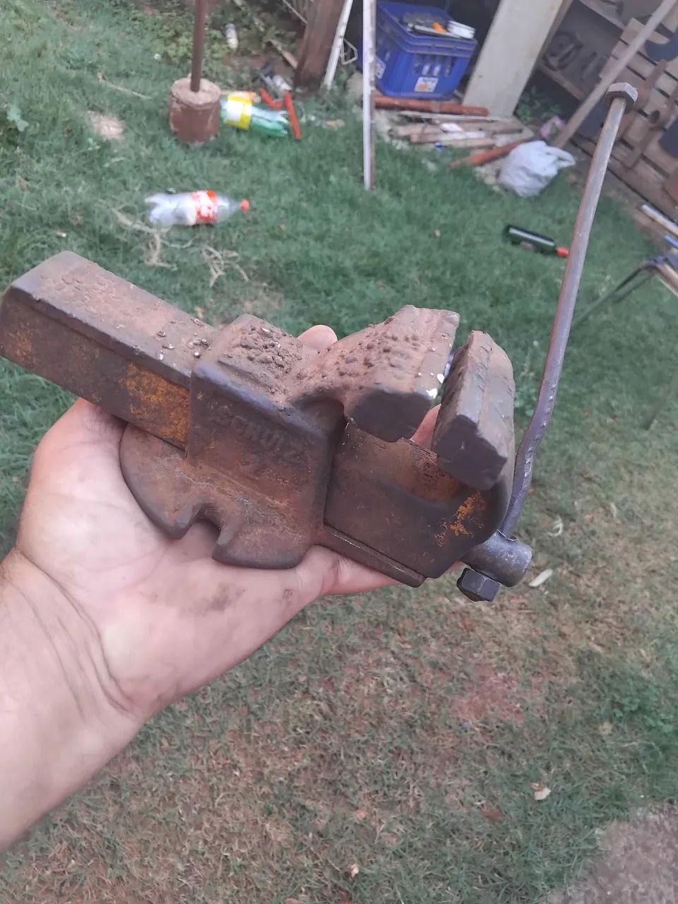 Morsa número 2 