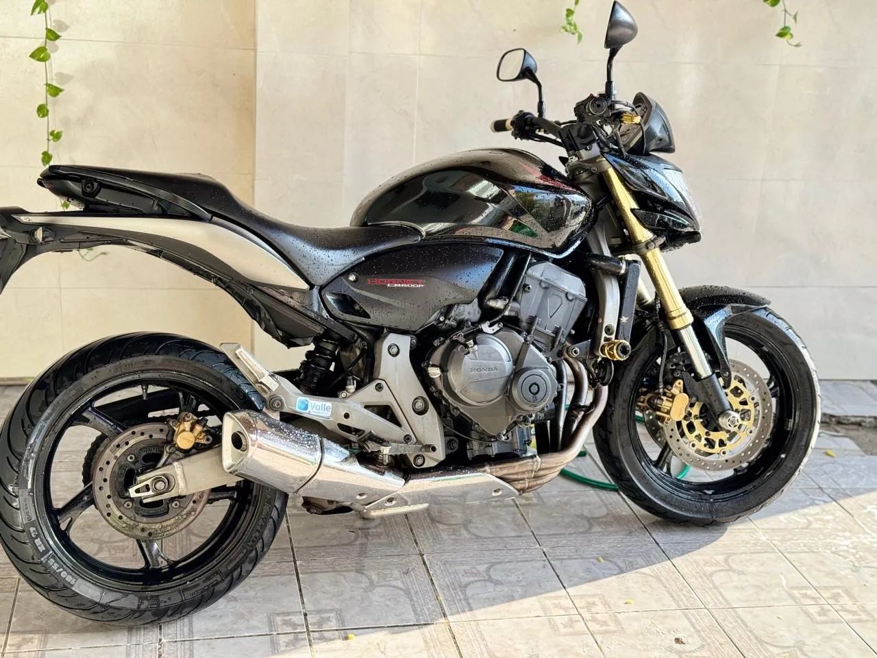 CB HORNET 600 - Foto 3