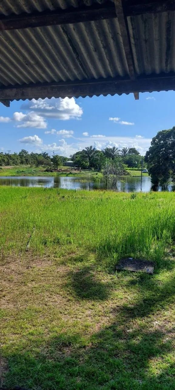 VENDE-SE ESTE SÍTIO/ESTRADA DE AUTAZES  - Foto 4
