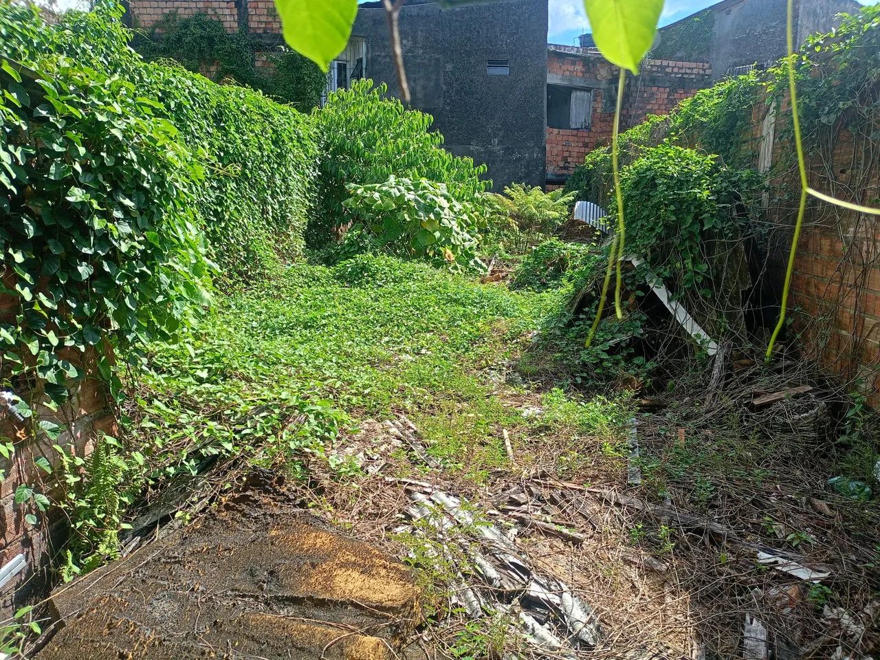 Terreno+casa deteriorada - Foto 2