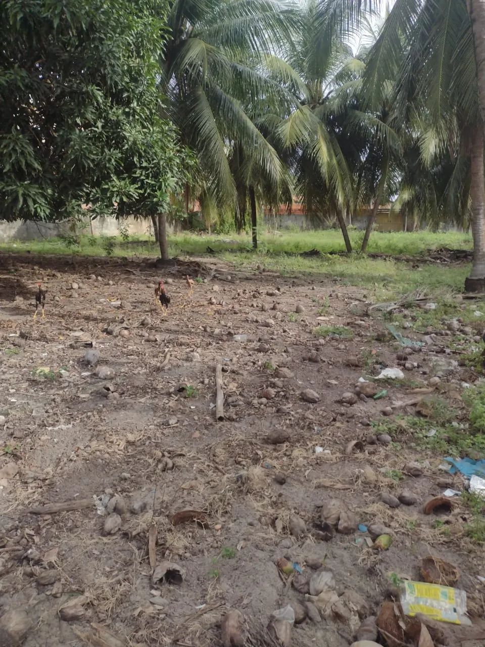 TERRENO para alugar na cidade de CAUCAIA-CE - Foto 3