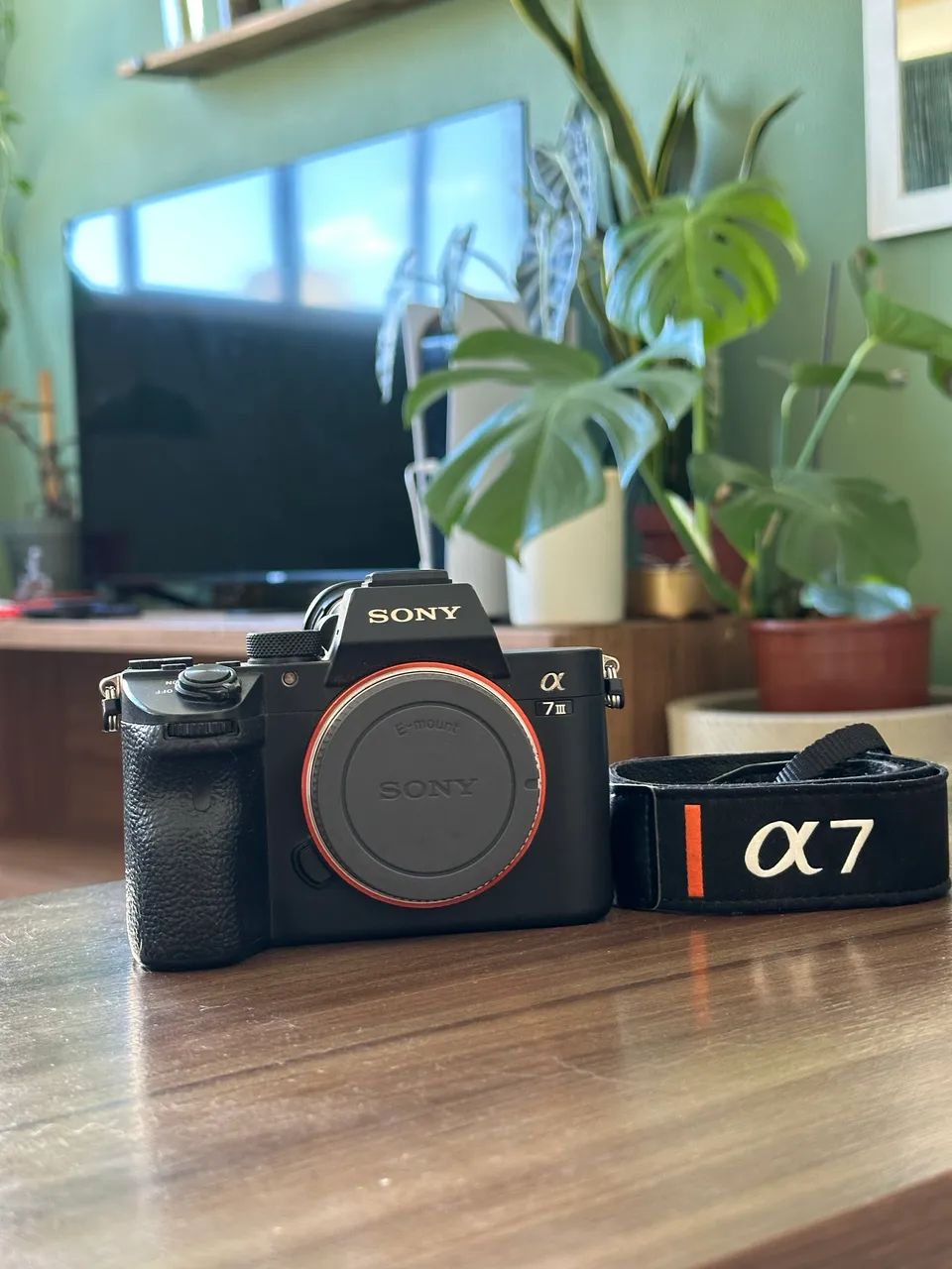 Sony a7III 