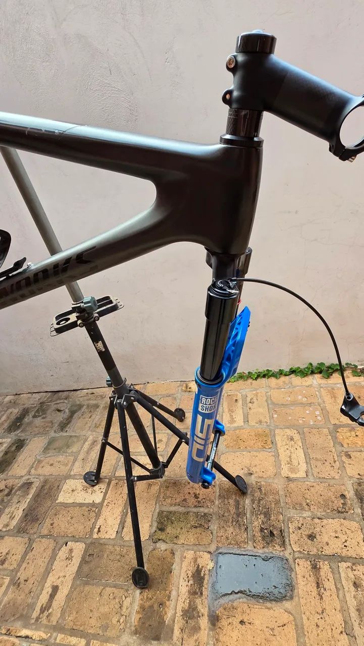 Specialized Epic L (quadro OEM)  - Foto 2