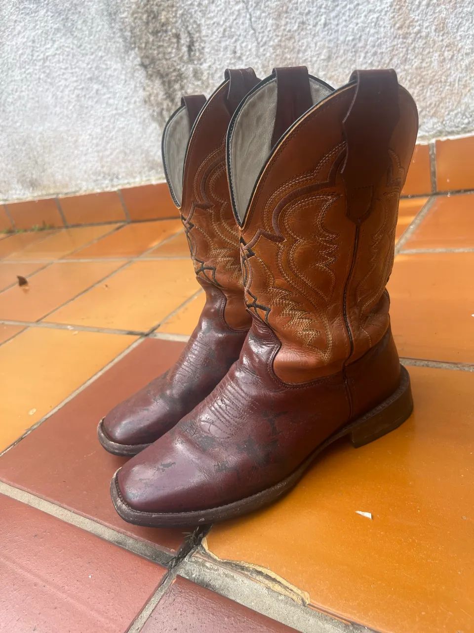 Texana da goyazes
