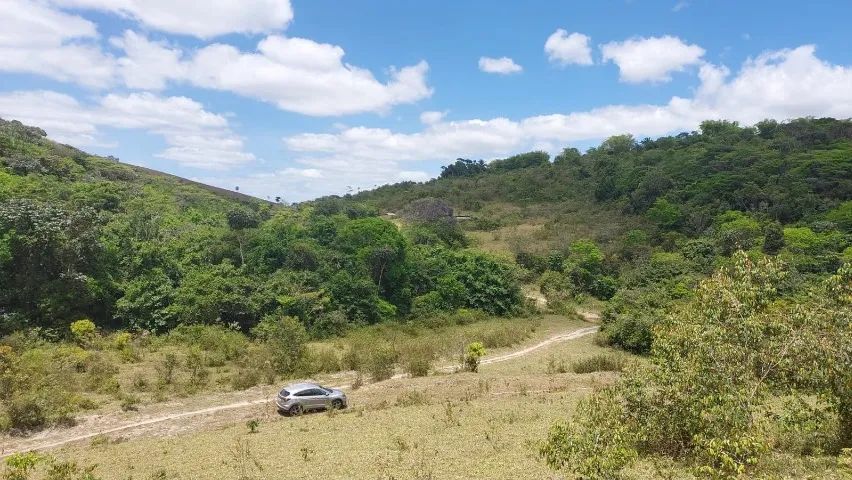 Fazenda em Joaquim Gomes   - Foto 5