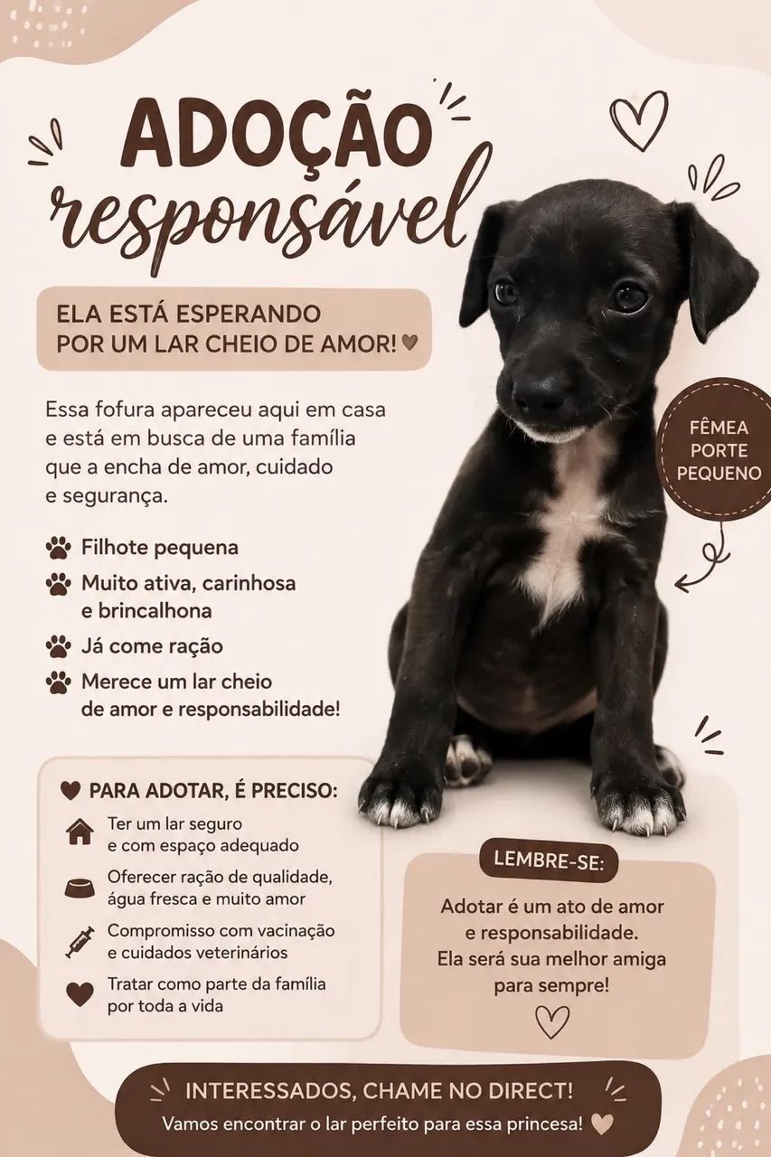 Cachorro