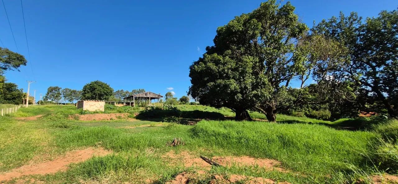Vendo Chácara haras rancho.  - Foto 5