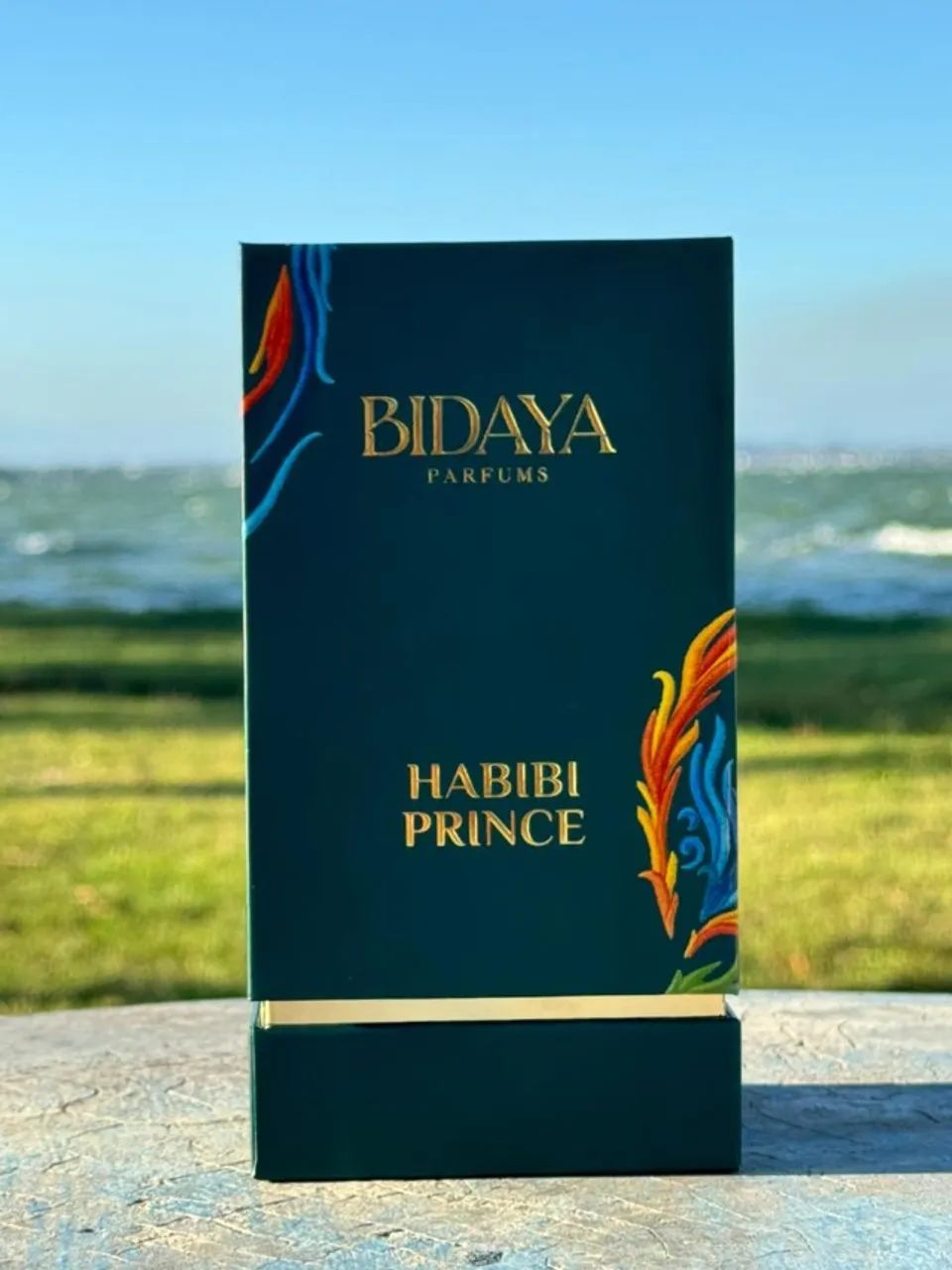 Bidaya Habibi Prince  - Foto 2
