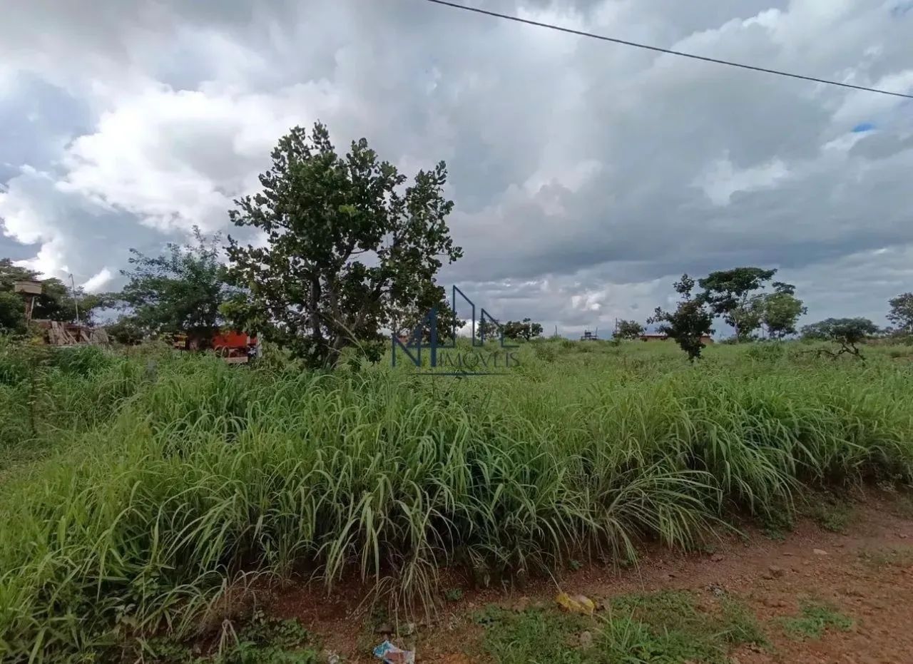 Lote Garavelo Sul 