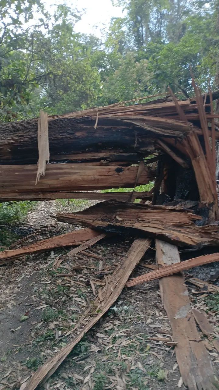 Corte e poda de árvores limpeza de terreno
