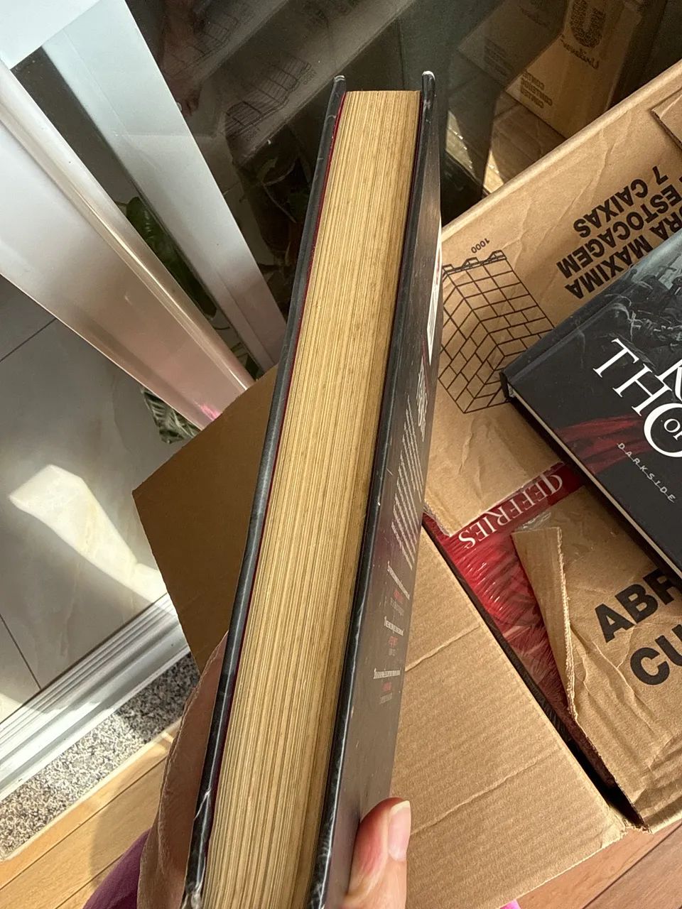 Livro Prince of Thorns - Foto 2