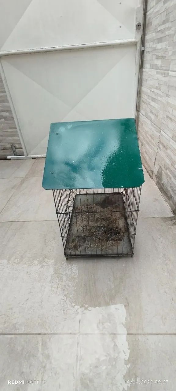 Gaiola - Foto 3