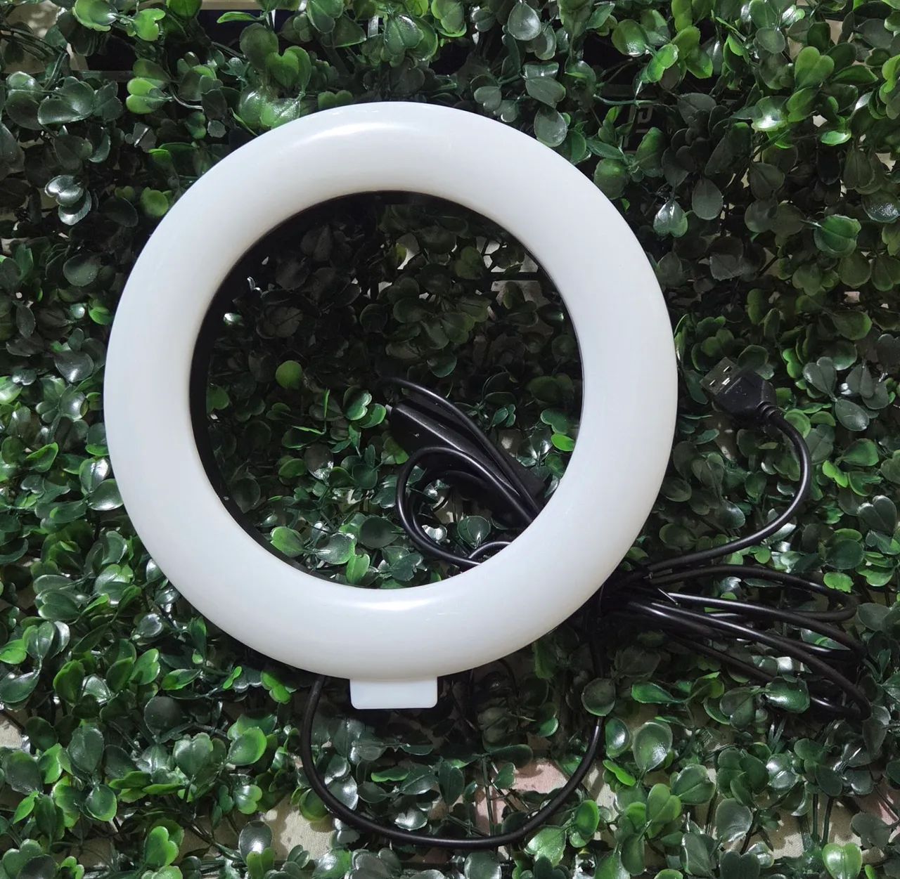 Ringlight de 16 CM - Foto 2