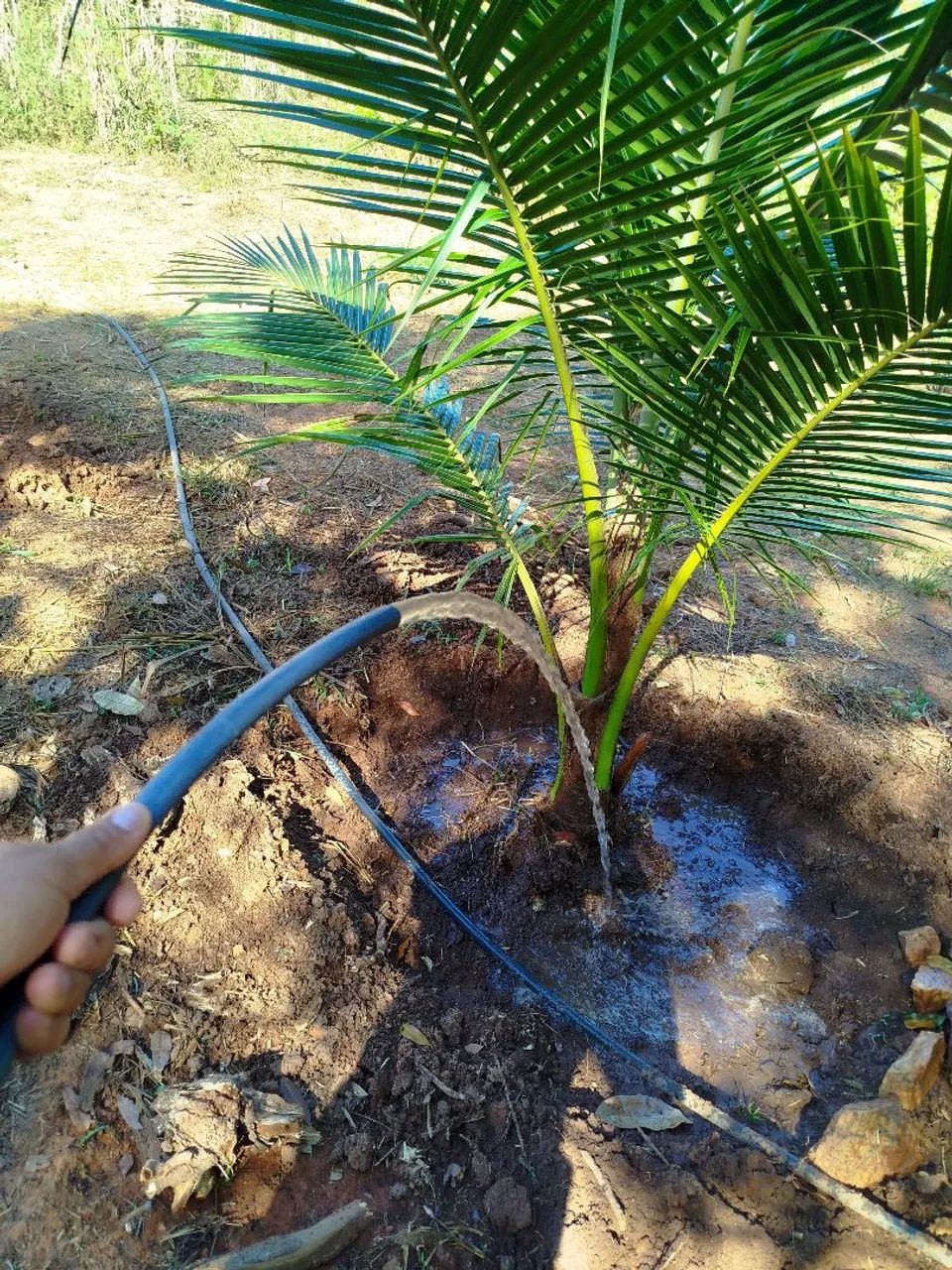 CHÁCARA MEDINDO 2 LINHAS PERTO DO LAGO DA NOVA CARAJÁS  - Foto 4