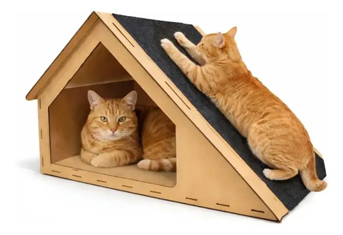 CASA DE GATO - Foto 5