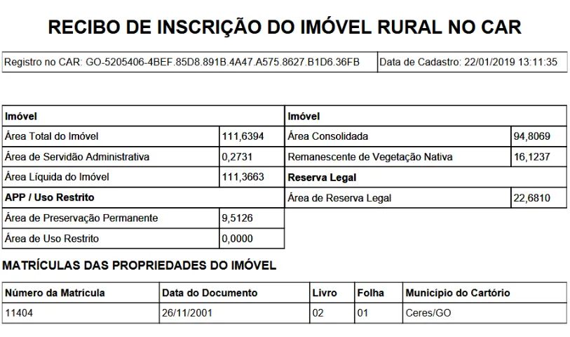 Vendo ou Arrendo fazenda de 23 Alqueires Ceres-Go - Foto 2