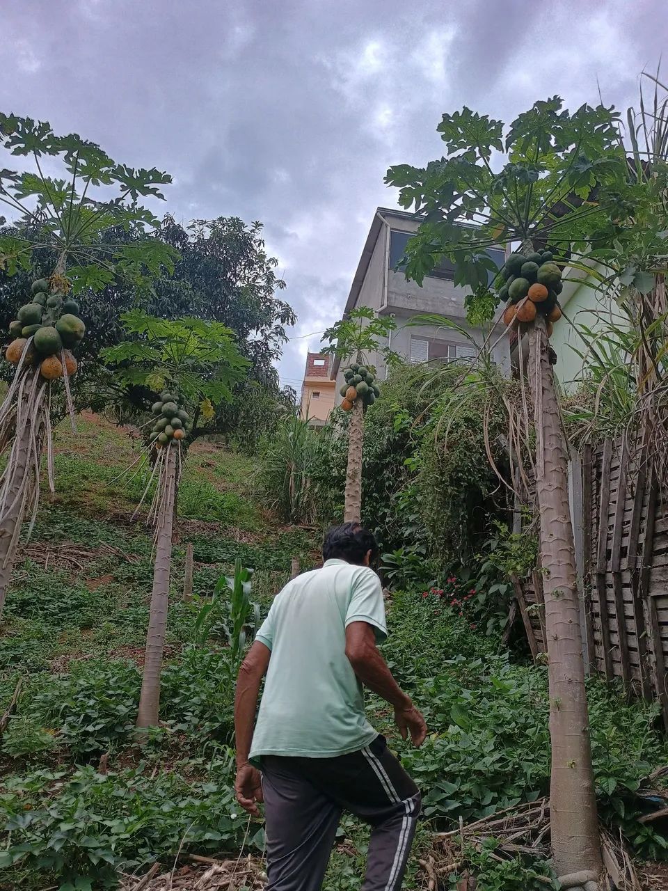 João de Deus da Silva  - Foto 4