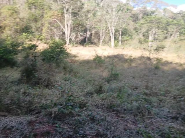 Fazenda - Foto 5