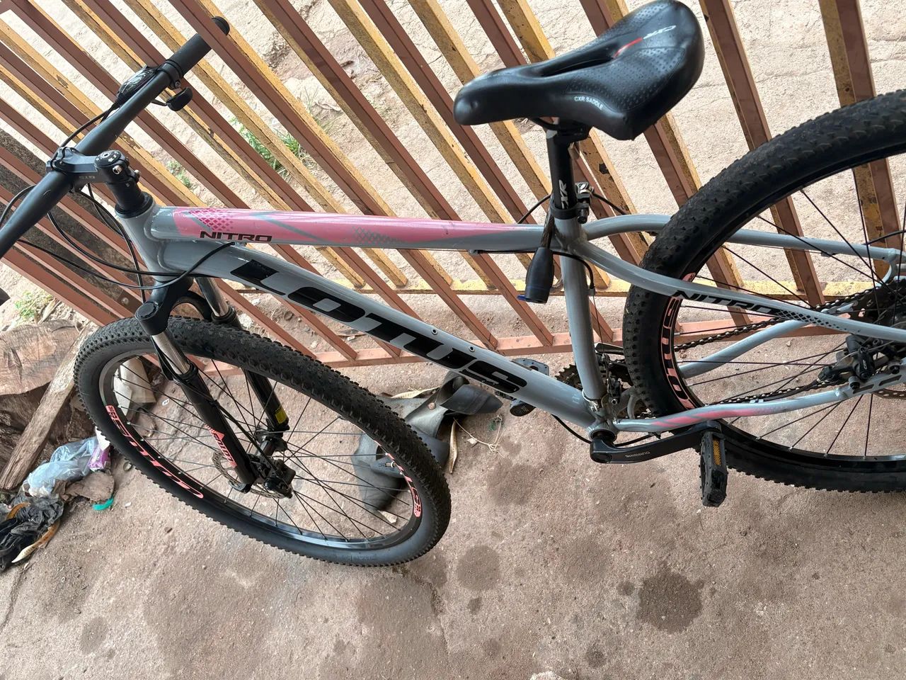 Bicicleta 