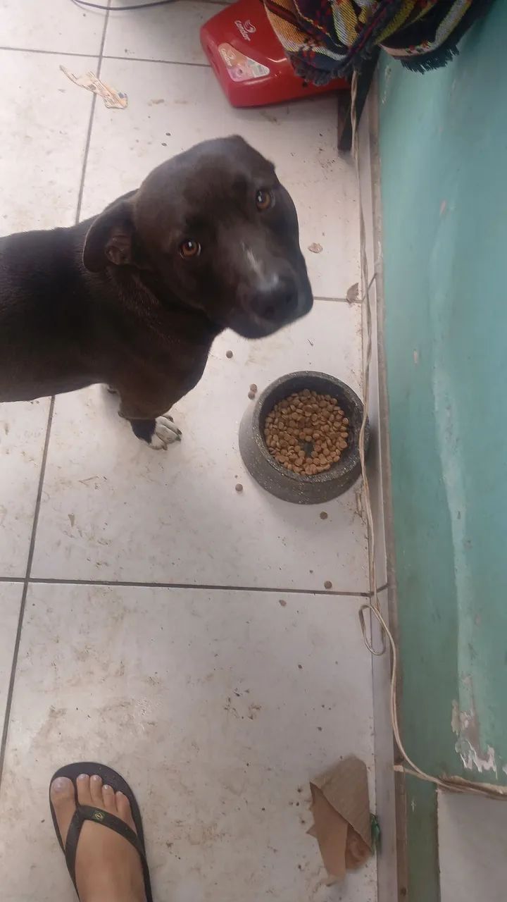 Doação 