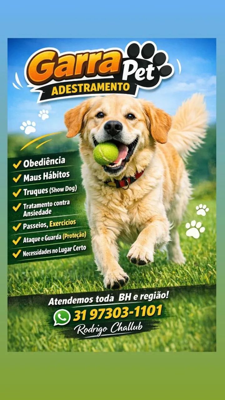 Adestrador de cães  - Foto 3