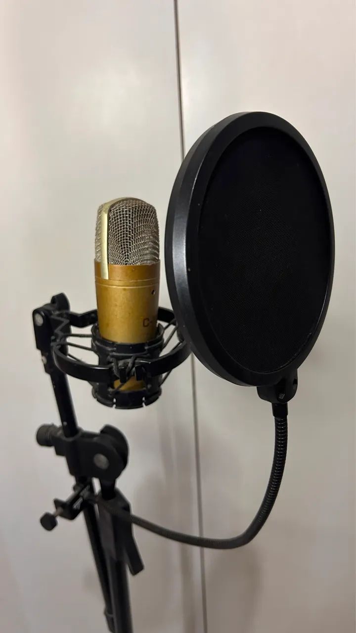 MICROFONE C-1U