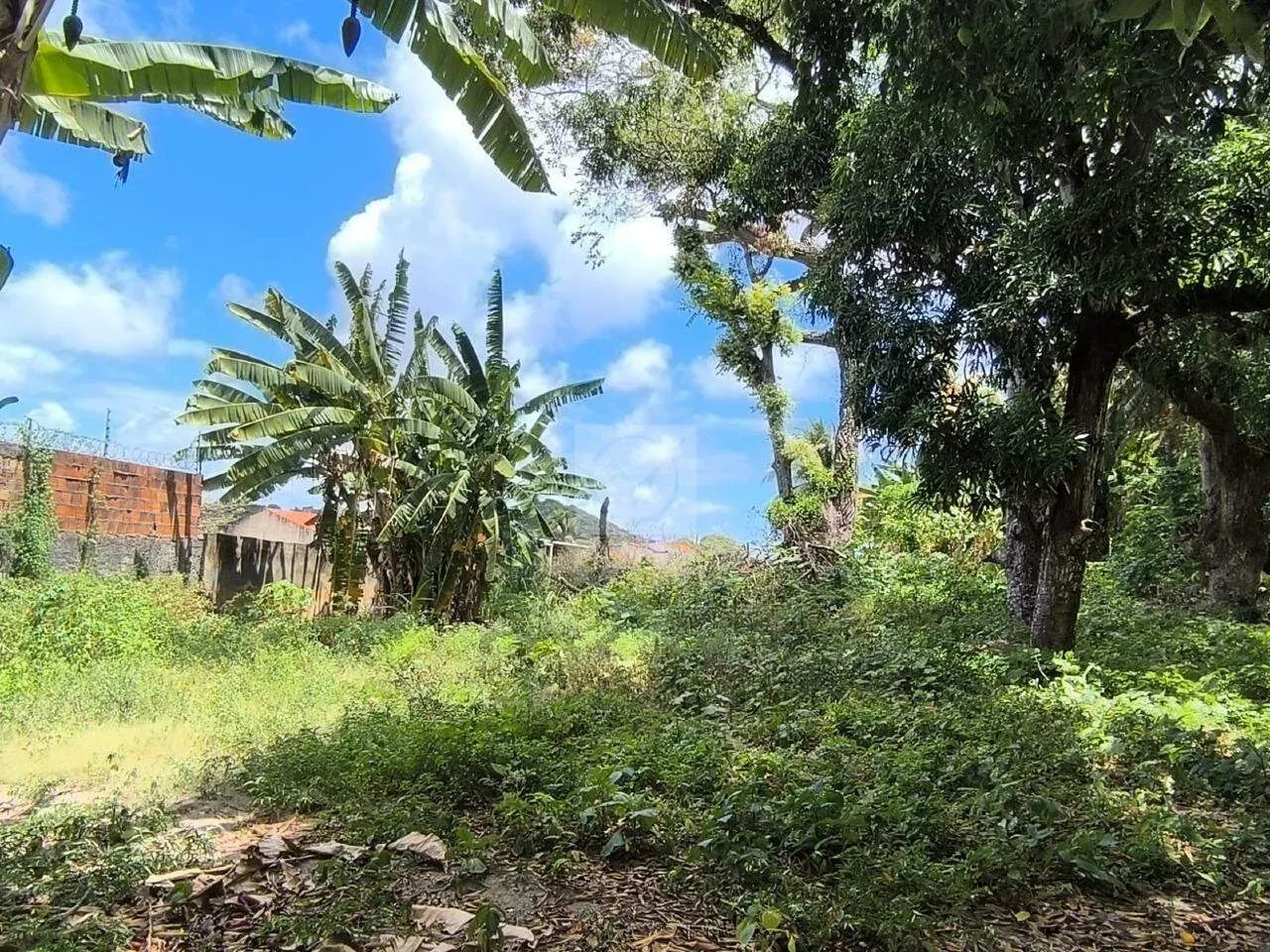 Oportunidade Única: Sítio de 9.000m² para Empreendimento Imobiliário! ??? - Foto 2