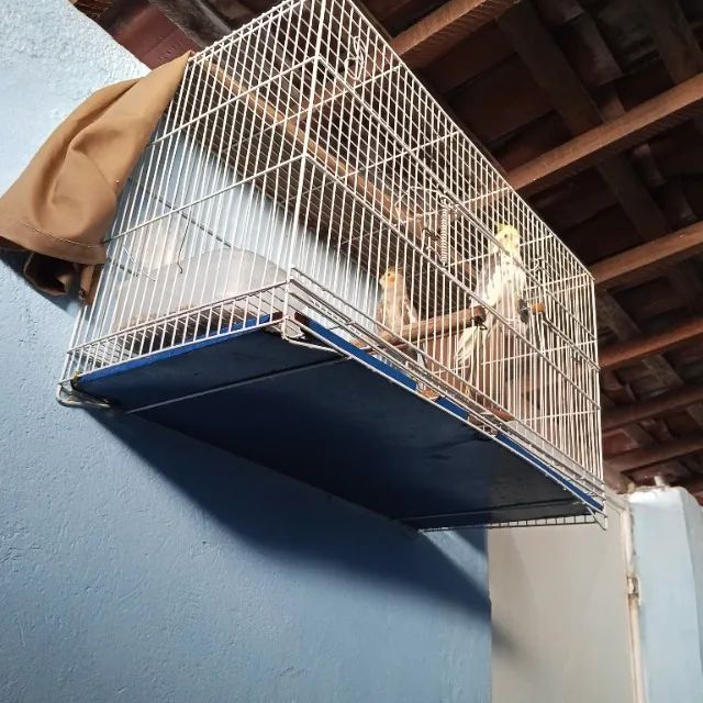 Gaiol@ complet@ ©alops!t@ c@sal - Foto 2