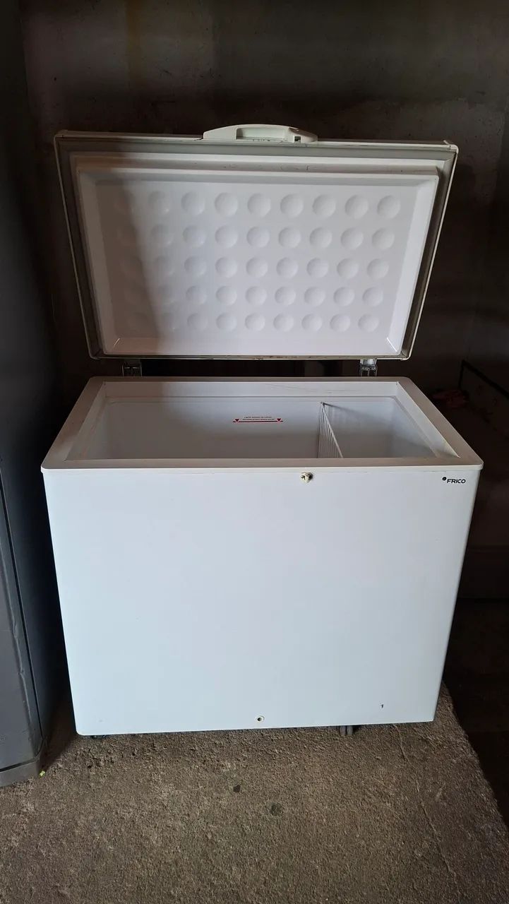Friser 311 litros marca feicon - Foto 2