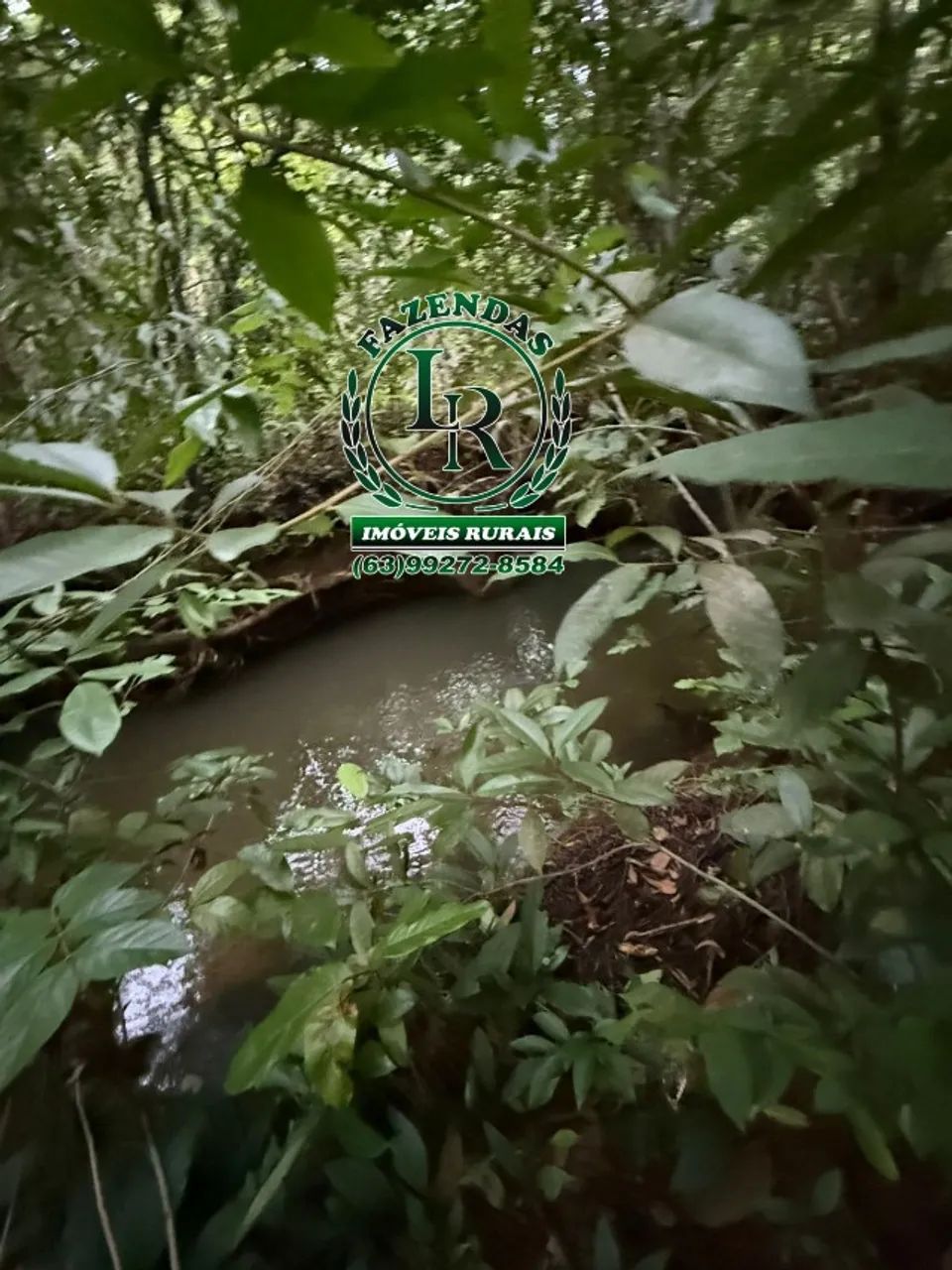 Chácara Taquaruçu Grande Área de 43000M² Bruta - Foto 5