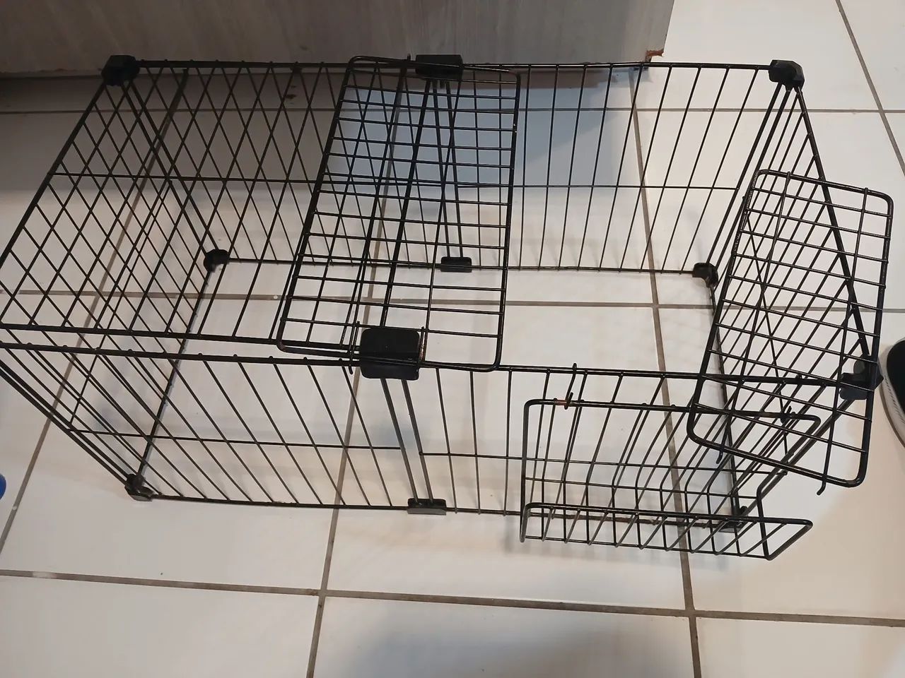 Gaiola65569094941571122