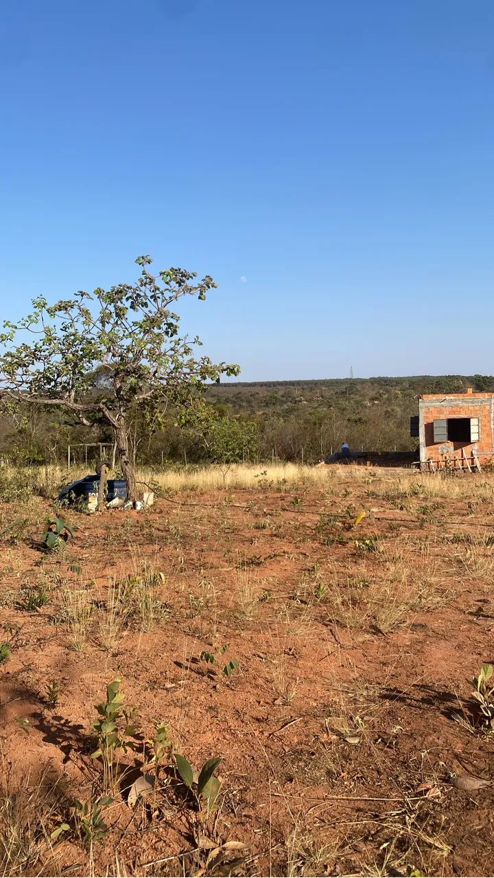 Chácara a venda - Foto 3