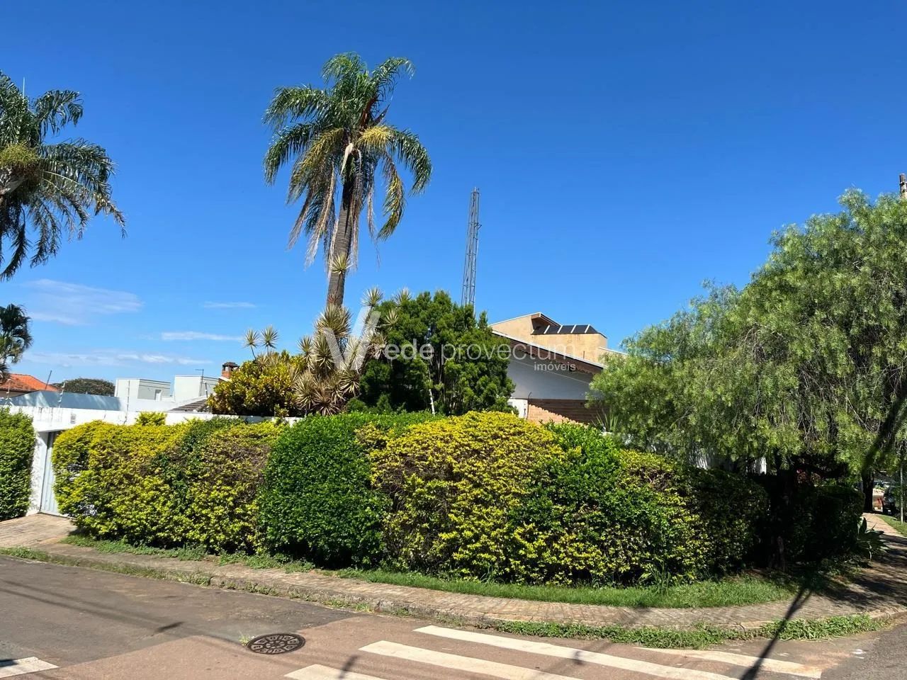 casa - Parque Taquaral - Campinas - Foto 2