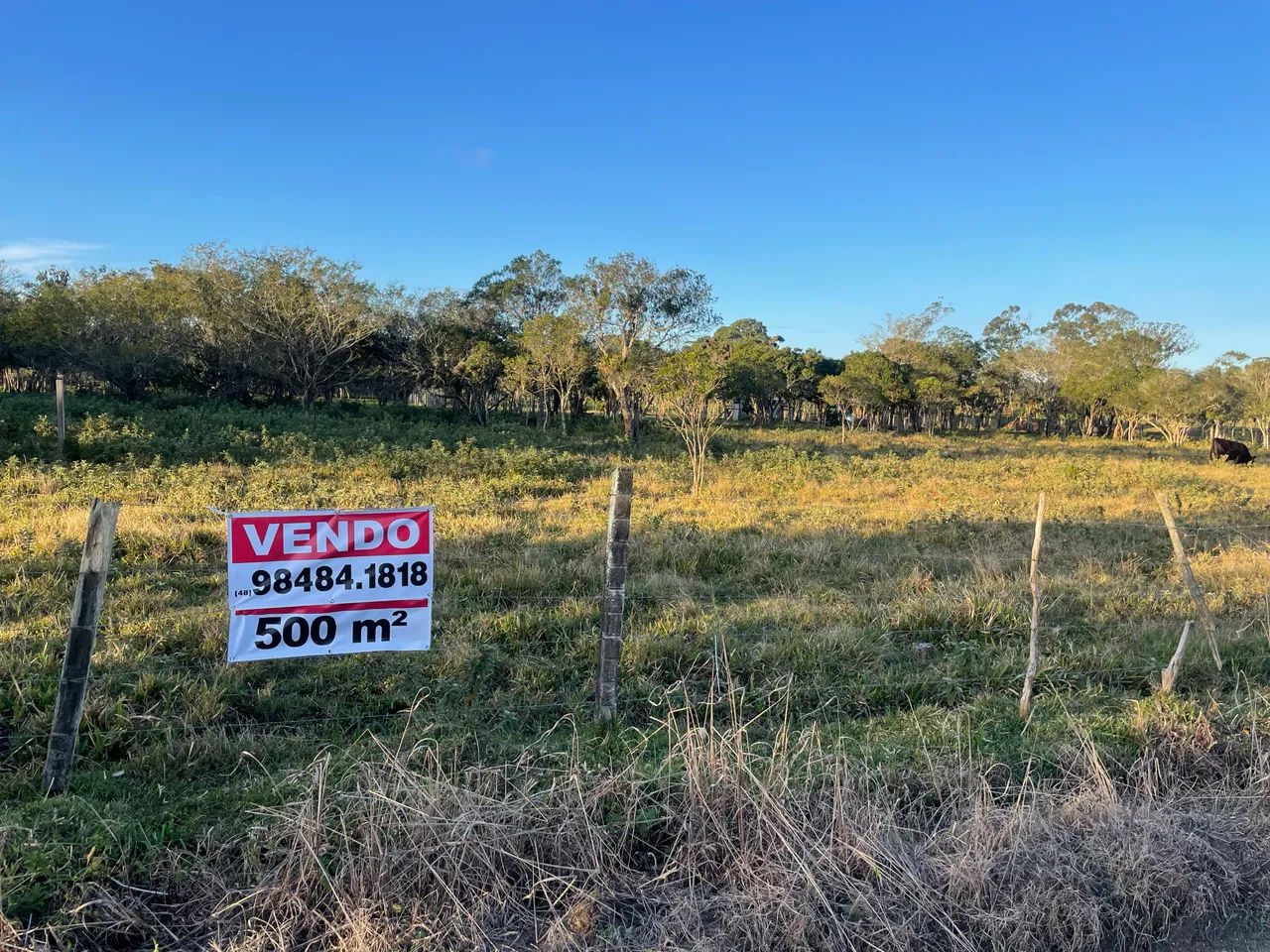 VENDO TERRENOS PRÓXIMO A GUARDA DO EMBAÚ  - Foto 2