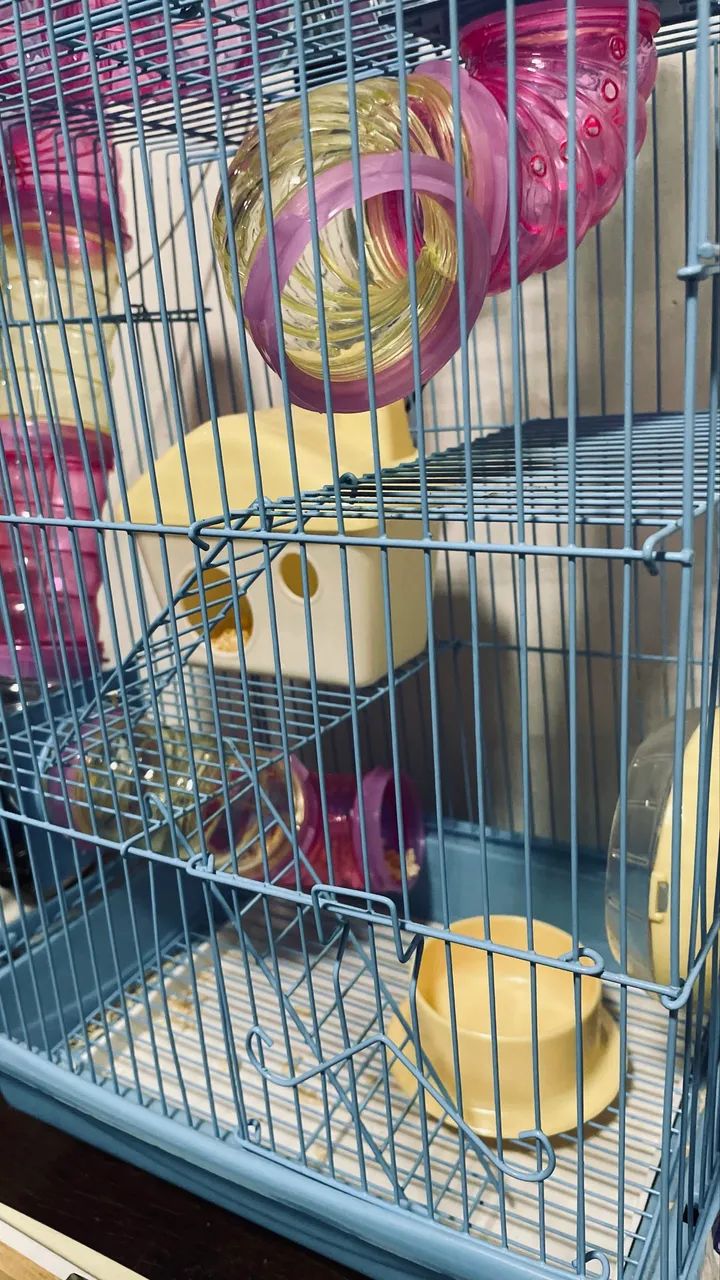 Gaiola De Hamster435653741842288642