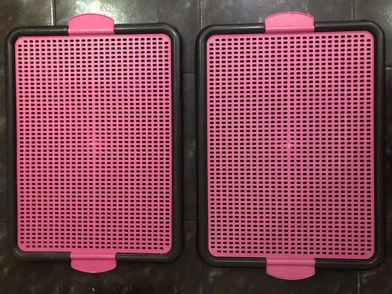 Para seu pet  - Foto 2