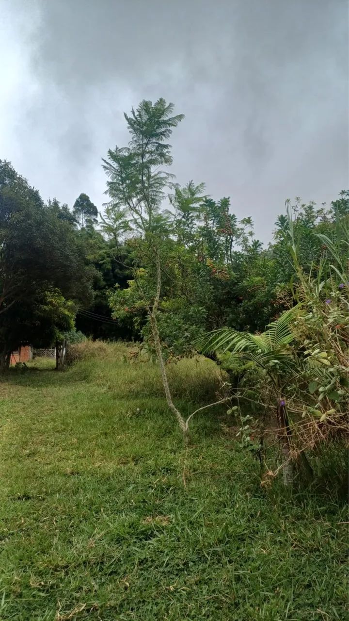 Foto - Campinas - Jardim Roseira